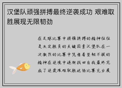 汉堡队顽强拼搏最终逆袭成功 艰难取胜展现无限韧劲